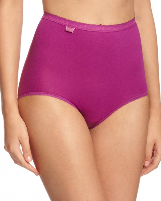 Sloggi Basic Maxi Brief - 2 Pack Sloggi Basic Maxi Brief - 2 Pack